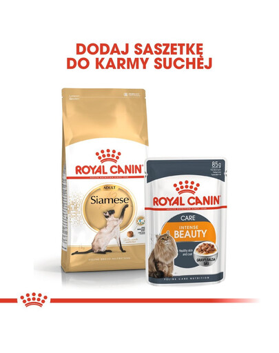 ROYAL CANIN Siamese adult 4 kg sausas maistas suaugusioms Siamo katėms