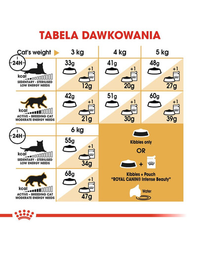 ROYAL CANIN Siamese adult 4 kg sausas maistas suaugusioms Siamo katėms