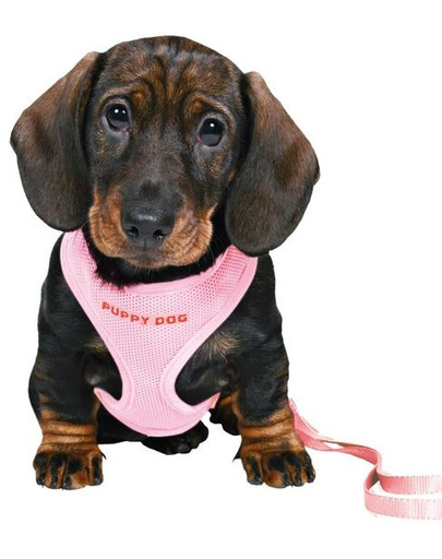 Trixie Puppy Soft rožinės petnešos su pavadėliu