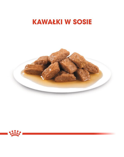 ROYAL CANIN Medium ageing 10+ 140 g