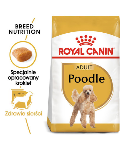 ROYAL CANIN Poodle adult 3 kg sausas maistas suaugusiems miniatiūrinio pudelio šunims