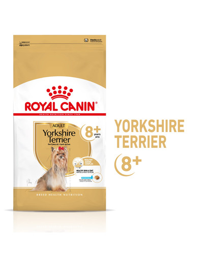 ROYAL CANIN Yorkshire Terrier Adult 8+ 0,5 kg sausas maistas suaugusiems Jorkšyro terjerams, vyresniems nei 8 metai