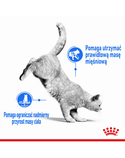 ROYAL CANIN Light Weight Care 3 kg sausas maistas suaugusioms katėms, palaikant sveiką kūno svorį