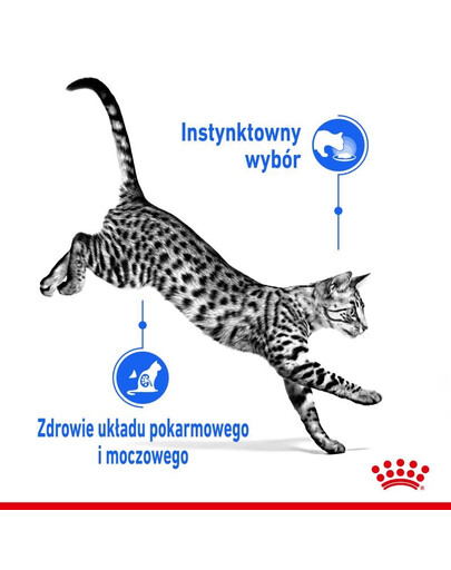 ROYAL CANIN Indoor sterilised paštetas12x85 g