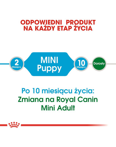 ROYAL CANIN Mini Puppy / Junior 8 kg Sausas maistas šuniukams, nuo 2 iki 10 mėnesių, mažų veislių + Mini šuniukas 12x85 g + Mini šuniukas 12x85 g