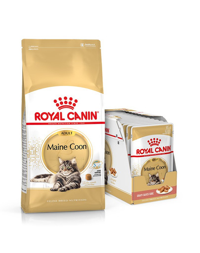 ROYAL CANIN Maine Coon Adult 10 kg + „Mainecoon“ šlapias maistas 12x85 g Meino meškėno katėms