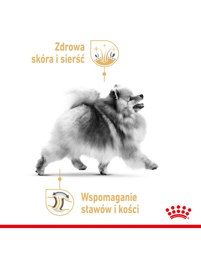 ROYAL CANIN Pomeranian Adult 85g šlapias maistas, paštetas suaugusiesiems miniatiūriniams špicų šunims