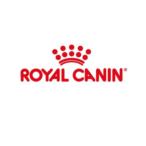 Royal Canin šunų maistas