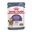 ROYAL CANIN Appetite Control Gravy 12x85 g šlapias maistas suaugusioms katėms, kurių apetitas yra per didelis
