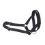 Amiplay Halter N6 Dog 2 cm nailoniniai apynasriai juodi