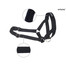 Amiplay Halter N6 Dog 2 cm nailoniniai apynasriai juodi