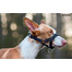 Amiplay Halter N6 Dog 2 cm nailoniniai apynasriai juodi