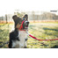 Amiplay Halter N6 Dog 2 cm nailoniniai apynasriai juodi