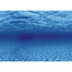 AQUA NOVA Dvipusis akvariumo fonas L 60x30cmšaknys / vanduo