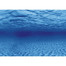 AQUA NOVA Dvipusis akvariumo fonas L 100x50cm  šaknys / vanduo