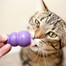 KONG Kitty žaislas katės skanėstams