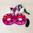 KONG Cat Active Eight Track interaktyvus žaislas katei