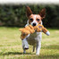 KONG Knots Scrunch Fox šuns žaislinė lapė S / M