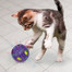 KONG G Šviečiantis  kamuolys katei su katžolė