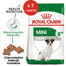 ROYAL CANIN Mini Adult 8+ 2 kg sausas maistas vyresniems šunims nuo 8 iki 12 metų mažų veislių x 7 + kuprinė NEMOKAMA