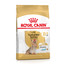 ROYAL CANIN Yorkshire Terrier Adult 8+3 kg sausas maistas suaugusiems Jorkšyro terjerams, vyresniems nei 8 metai