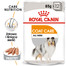 ROYAL CANIN Coat Care konservai 12 x 85 g