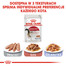 ROYAL CANIN Instinctive paštetas 12x85g