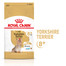 ROYAL CANIN Yorkshire Terrier Adult 8+3 kg sausas maistas suaugusiems Jorkšyro terjerams, vyresniems nei 8 metai