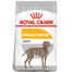 ROYAL CANIN Maxi Dermacomfort 12 kg sausas ėdalas suaugusiems didelių veislių šunims, kurių oda jautri ir linkusi dirginti