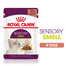 ROYAL CANIN Sensory smell gravy kačių ėdalas 12x85 g