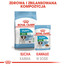 ROYAL CANIN Mini puppy 4x85 g drėgnas maistas su padažu šuniukams iki 10 mėnesių, mažų veislių