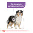 ROYAL CANIN CCN Maxi Digestive Care 12 kg sausas ėdalas suaugusiems didelių veislių šunims su jautriu virškinimo traktu