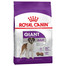 Royal Canin giant Adult 15 kg