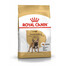 ROYAL CANIN Prancūzų buldogas suaugęs 9 kg + kuprinė