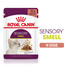 ROYAL CANIN Sensory Smell gravy 48x85 g gabalėliai padaže suaugusioms katėms, skatinantys uoslę