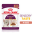 ROYAL CANIN Sensory Taste jelly 48x85 g gabalėliai padaže suaugusioms katėms skatinantys skonio pojūtį