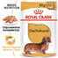 ROYAL CANIN Jamnik Adult 24 x 85 g šlapias maistas, skirtas suaugusiems taksų veislės šunims