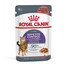 ROYAL CANIN Appetite Control Gravy 44x85 g šlapias maistas suaugusioms katėms, turinčioms pernelyg didelį apetitą