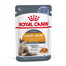 ROYAL CANIN HAIR&SKIN  želėje 48 x 85 g