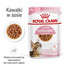 ROYAL CANIN Kitten Sterilizuotas drėgnas maistas su padažu kačiukams iki 12 mėn. amžiaus, sterilizuotas 24 x 85 g
