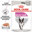 ROYAL CANIN Relax Care šlapias maistas- paštetas suaugusiems šunims, patiriantiems stresą 24 x 85 g