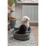 INTERZOO Ovalus šunų guolis su pagalve, pilkas 53x44x16 cm
