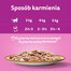 WHISKAS Adult paketėlis 85g drėgnas ėdalas suaugusioms katėms su ėriena ir kalakutiena