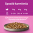 WHISKAS Pure Delight Paukštienos kepsneliai su vištiena ir kalakutiena 4x85g