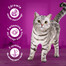 WHISKAS Adult 300g sausas ėdalas suaugusioms katėms su gardžia jautiena
