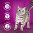 WHISKAS Senior paketėlis 85g Drobiowa Uczta drėgnas ėdalas vyresnio amžiaus katėms su: vištiena, kalakutiena