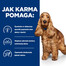 HILL'S Prescription Diet Canine z/d 370 g netoleruojantiems maisto