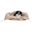 Trixie guolis King Of Dogs 85 X 65 cm smėlinis