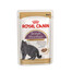 ROYAL CANIN British Shorthair šlapias maistas padaže suaugusioms britų trumpaplaukėms katėms 48x85 g