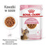 ROYAL CANIN Kitten Sterilizuotas drėgnas maistas padaže kačiukams iki 12 mėn. amžiaus, sterilizuotiems 48 x 85 g